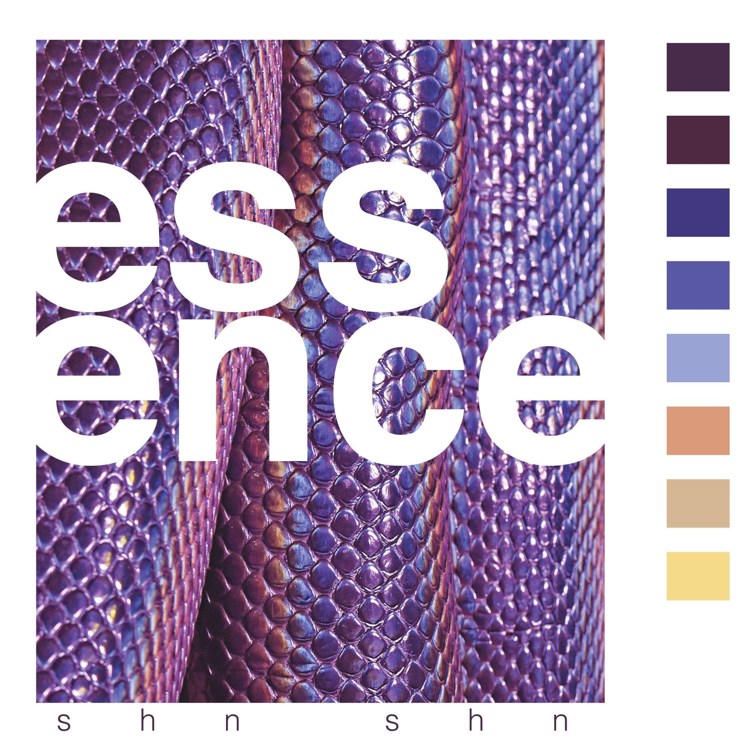Shn Shn - Essence