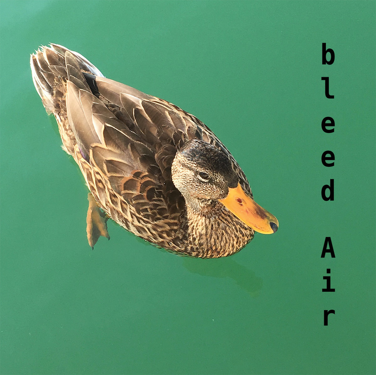 bleed Air - superpolar Taïps
